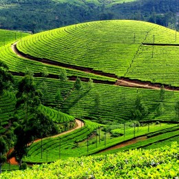 Colourful Kerala