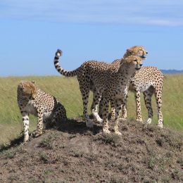 Kenya