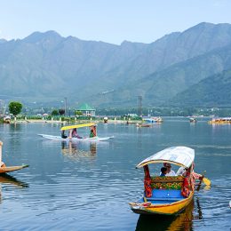 Kashmir